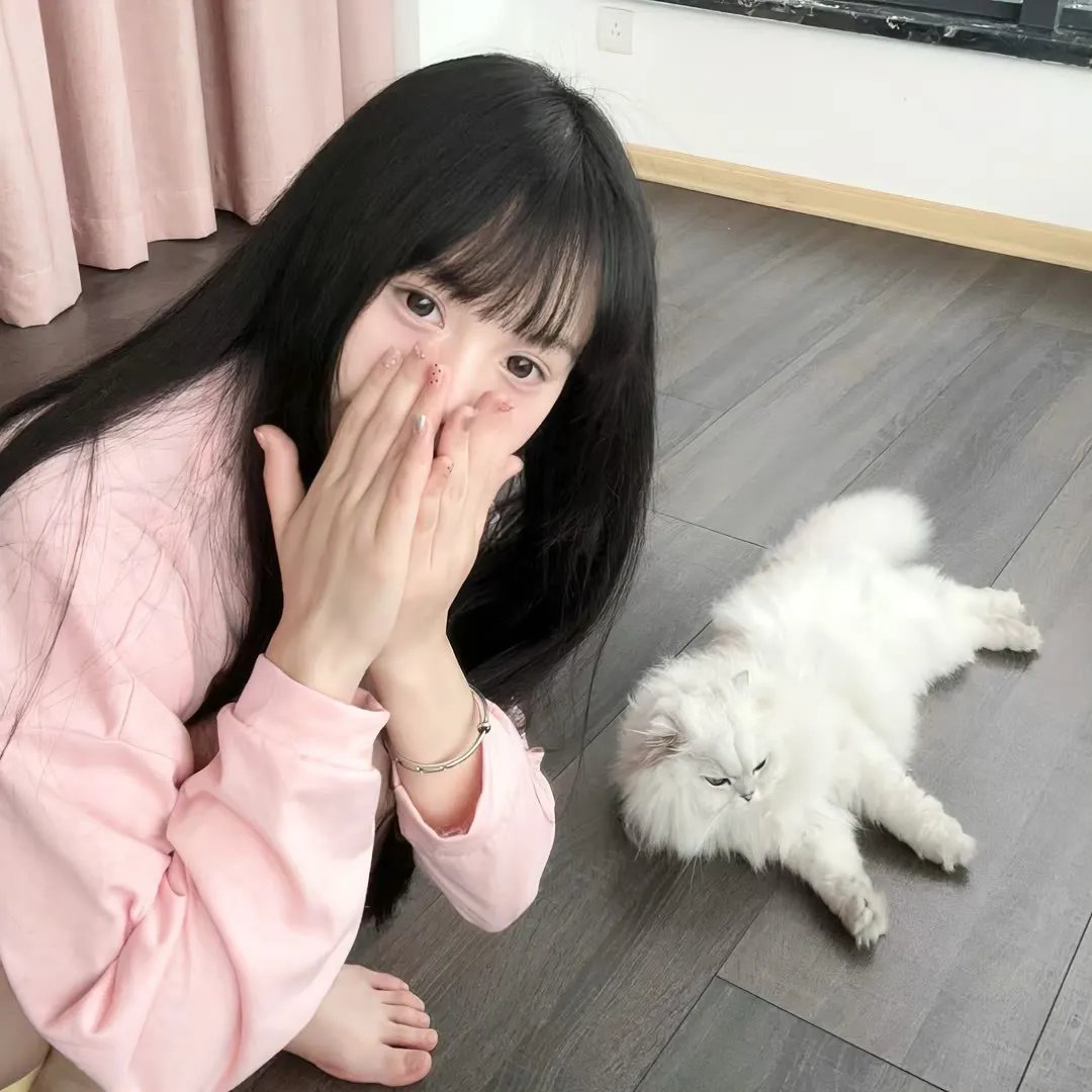 白领丽人